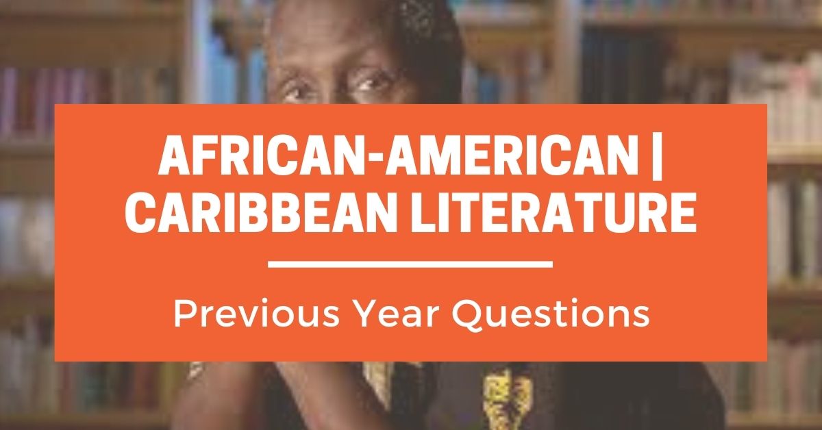 african-literature-previous-year-questions